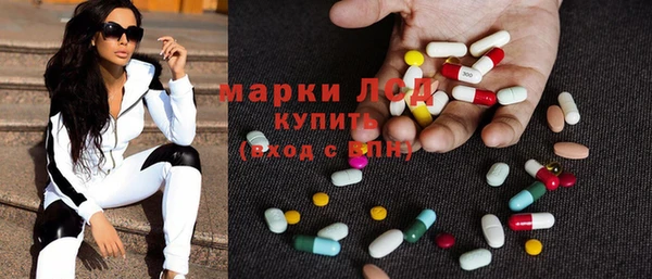 spice Верея