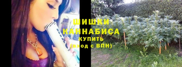 трава Верхний Тагил