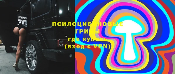 spice Верея