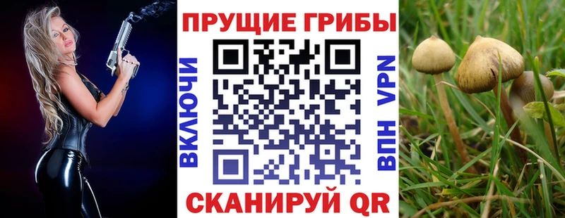 магазин продажи наркотиков  Одинцово  Псилоцибиновые грибы Psilocybe 